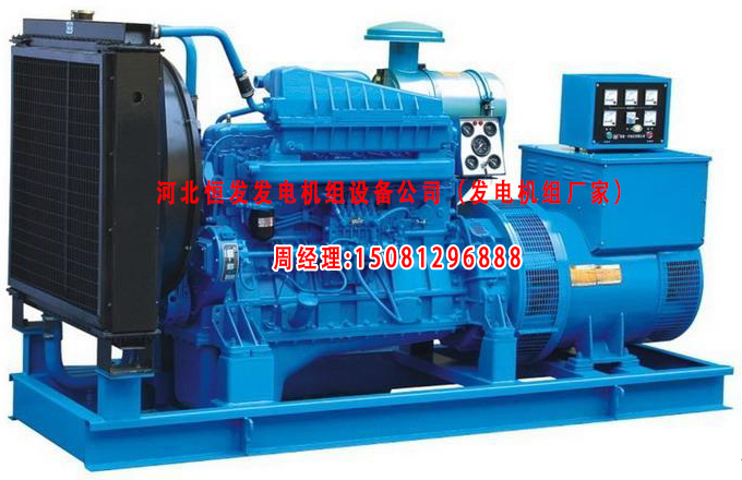 發(fā)電機(jī)組廠(chǎng)家